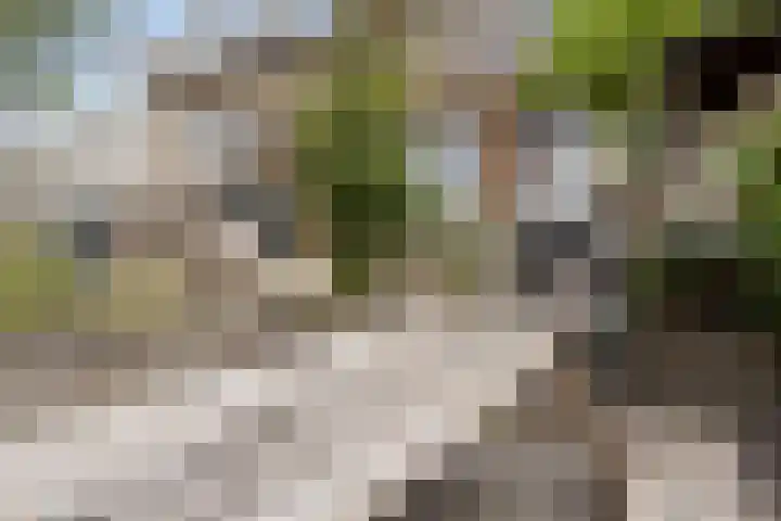 Vreedstraat 9 Bruchem thumbnail 12