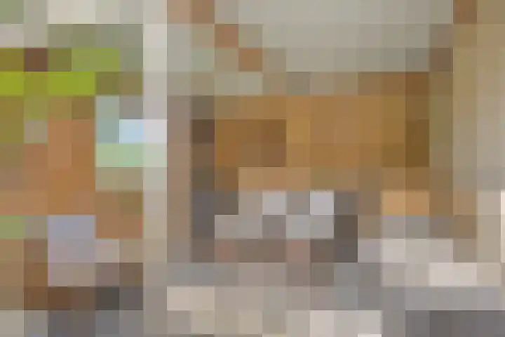 Vreedstraat 9 Bruchem thumbnail 13