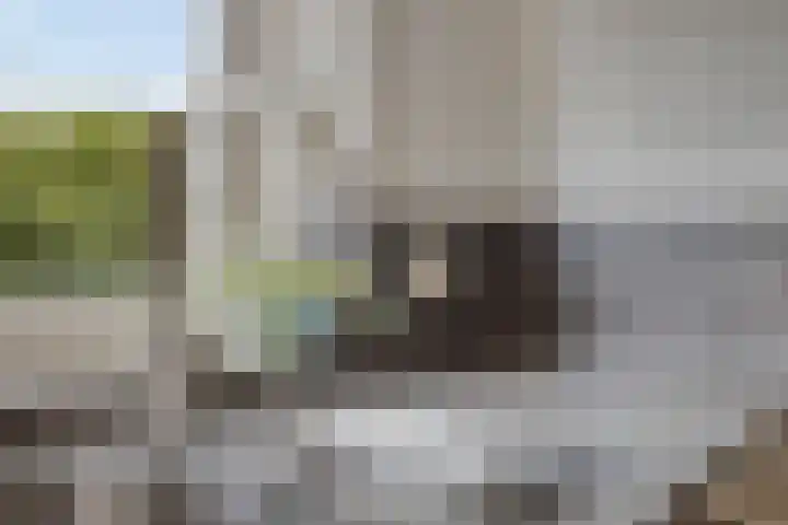 Vreedstraat 9 Bruchem thumbnail 17