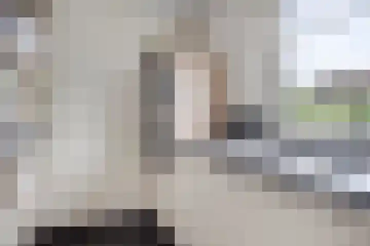 Vreedstraat 9 Bruchem thumbnail 18