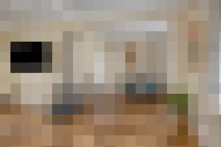 Vreedstraat 9 Bruchem thumbnail 21
