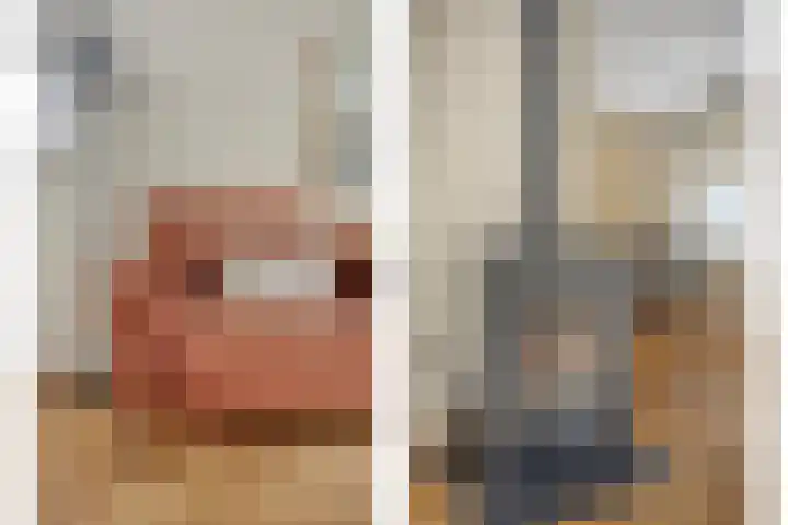 Vreedstraat 9 Bruchem thumbnail 23