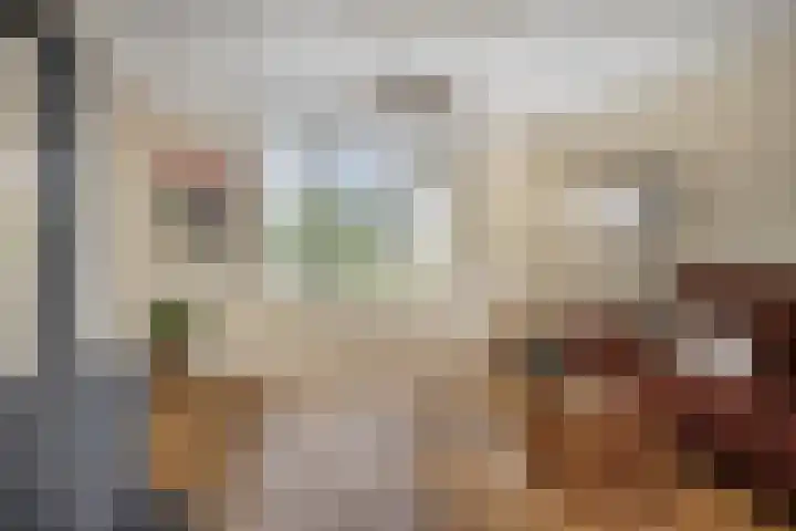 Vreedstraat 9 Bruchem thumbnail 24