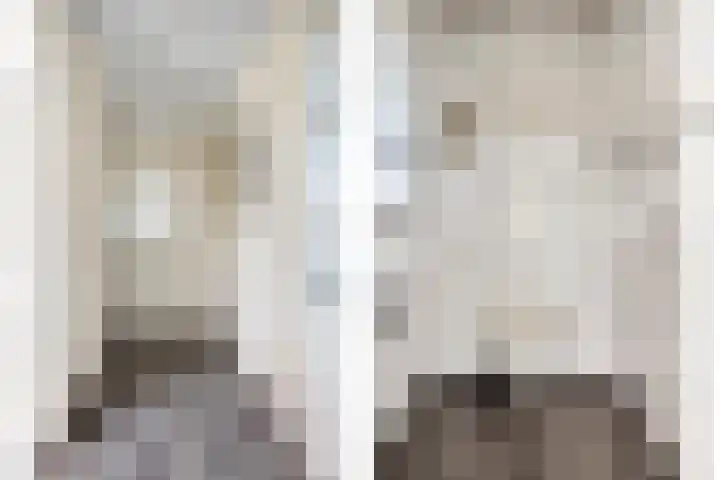 Vreedstraat 9 Bruchem thumbnail 25
