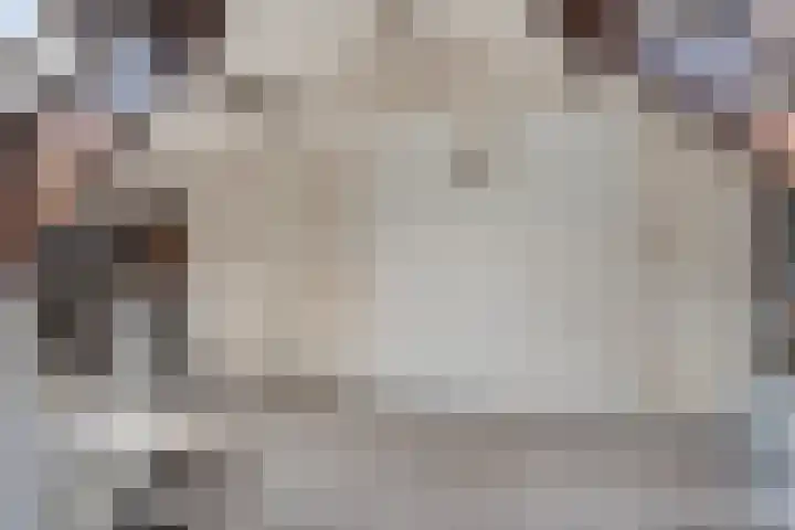 Vreedstraat 9 Bruchem thumbnail 32