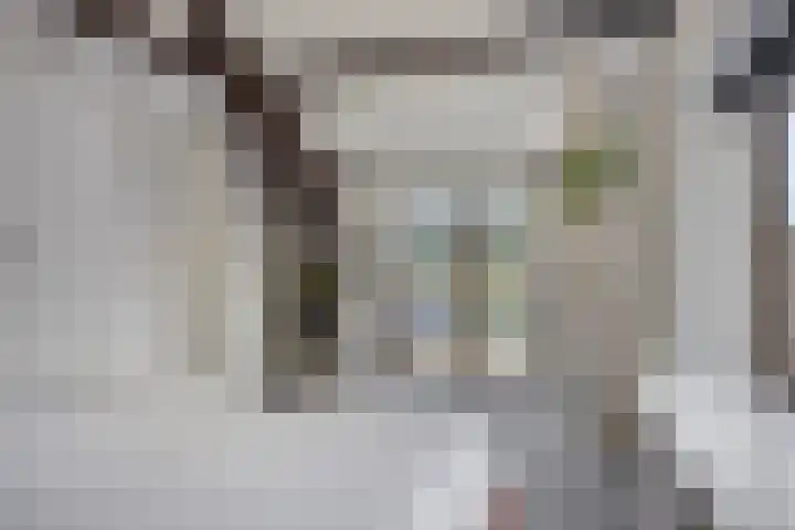 Vreedstraat 9 Bruchem thumbnail 33