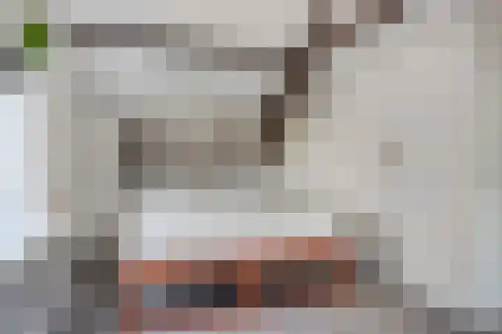 Vreedstraat 9 Bruchem thumbnail 34