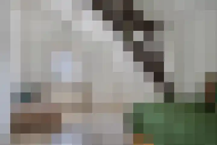 Vreedstraat 9 Bruchem thumbnail 35