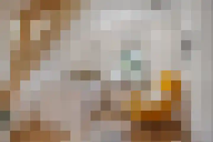Vreedstraat 9 Bruchem thumbnail 37