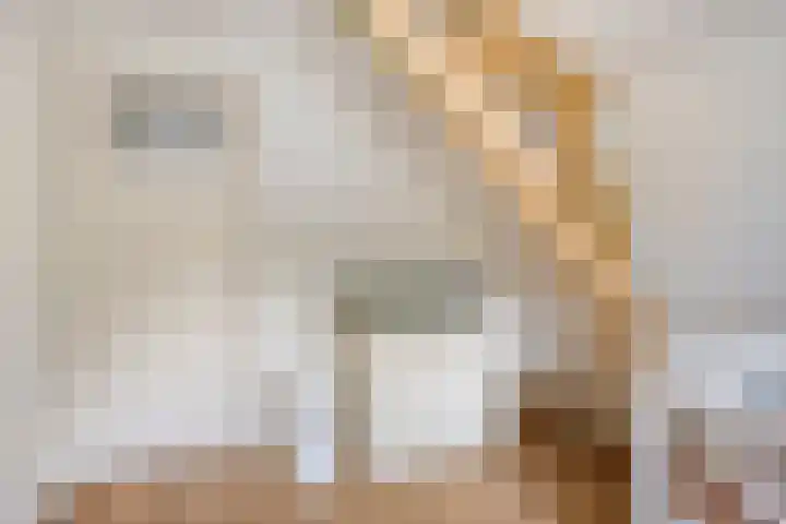 Vreedstraat 9 Bruchem thumbnail 38