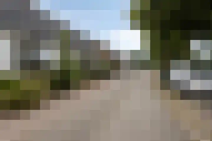 Vreedstraat 9 Bruchem thumbnail 5