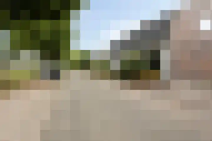 Vreedstraat 9 Bruchem thumbnail 6