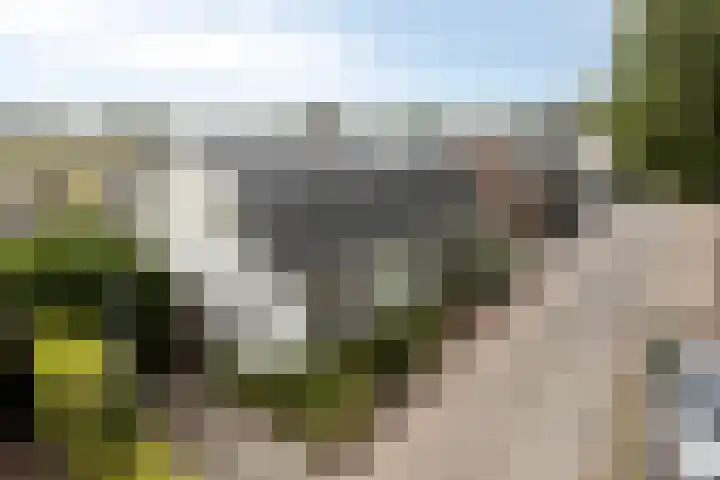Vreedstraat 9 Bruchem thumbnail 7