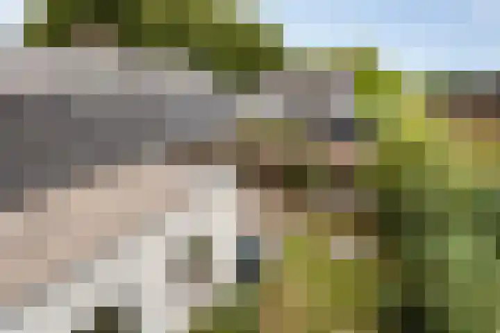 Vreedstraat 9 Bruchem thumbnail 8