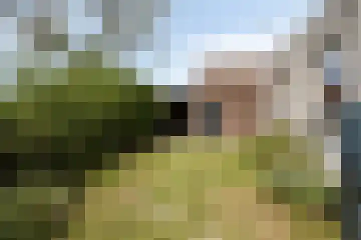 Vreedstraat 9 Bruchem thumbnail 9