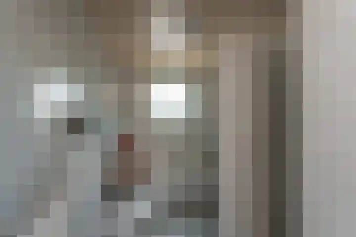 Vreekesweid 20 Broek op Langedijk thumbnail 18