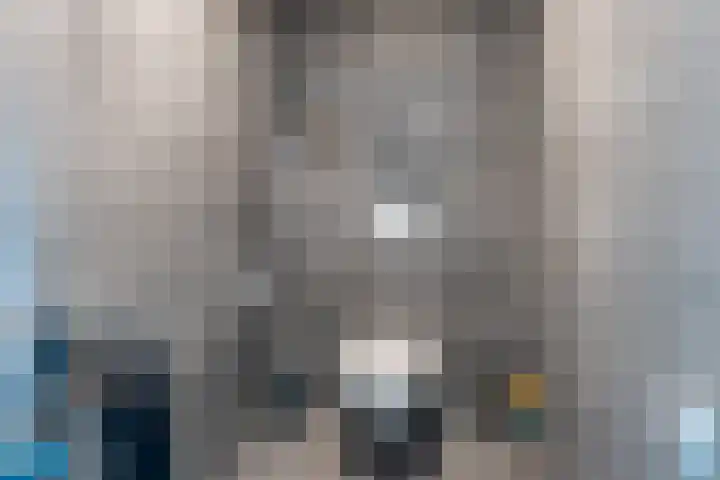 Vreekesweid 20 Broek op Langedijk thumbnail 19
