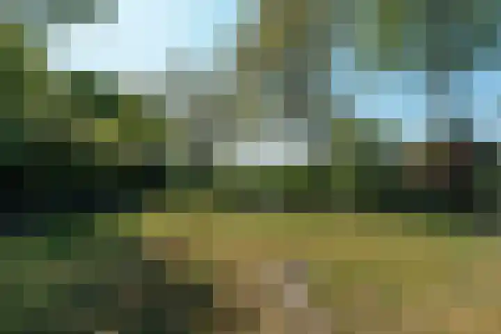 Vreekesweid 20 Broek op Langedijk thumbnail 24