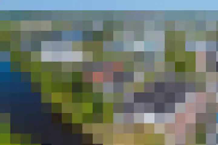 Vreekesweid 20 Broek op Langedijk thumbnail 29