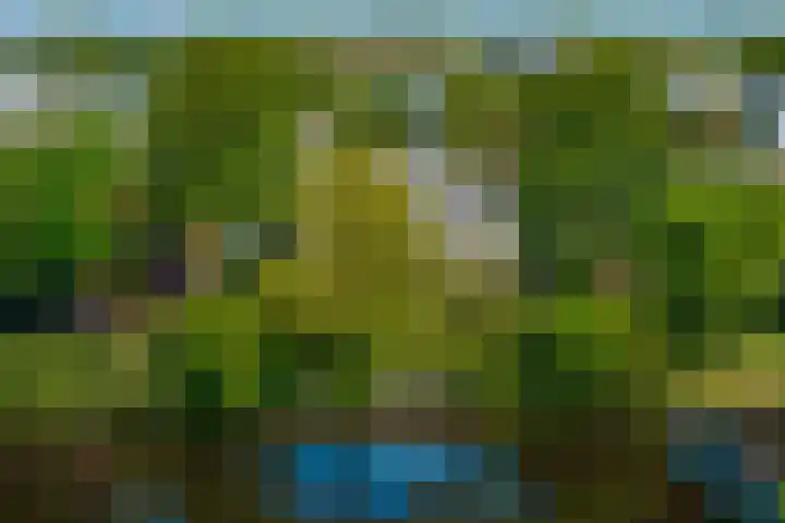 Vreekesweid 20 Broek op Langedijk thumbnail 30