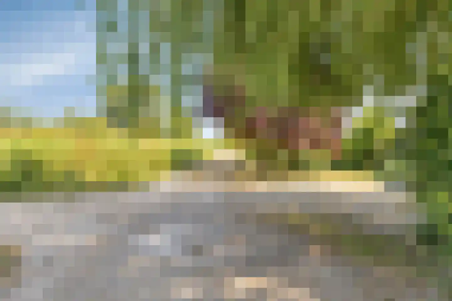 Vreelandsedijk 23 Kwadendamme thumbnail 10
