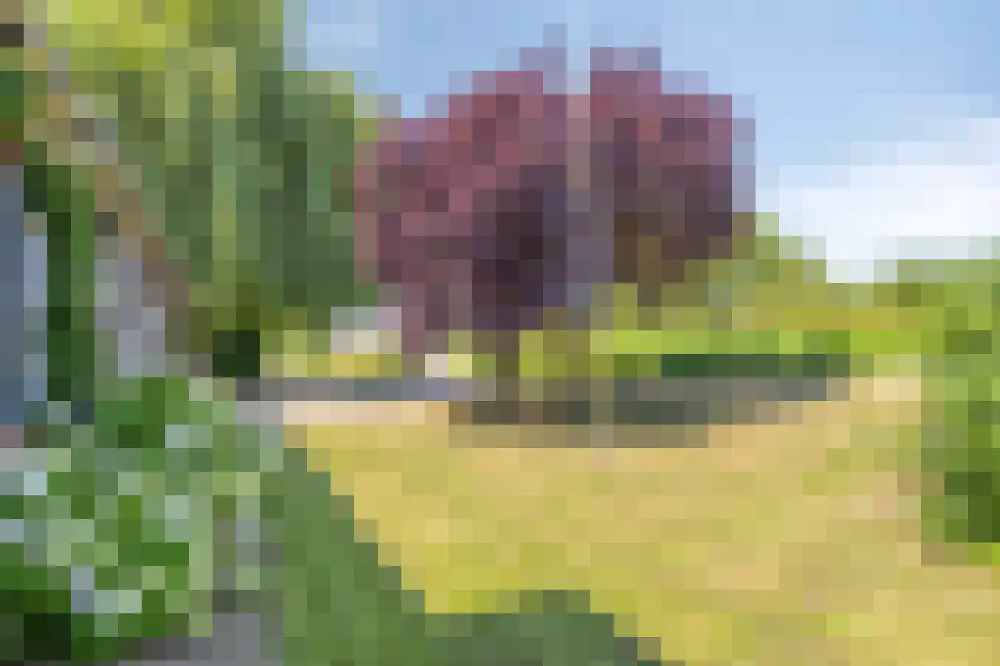Vreelandsedijk 23 Kwadendamme thumbnail 11