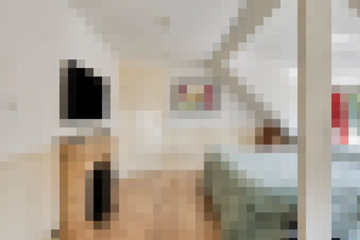 Vreelandsedijk 23 Kwadendamme thumbnail 36