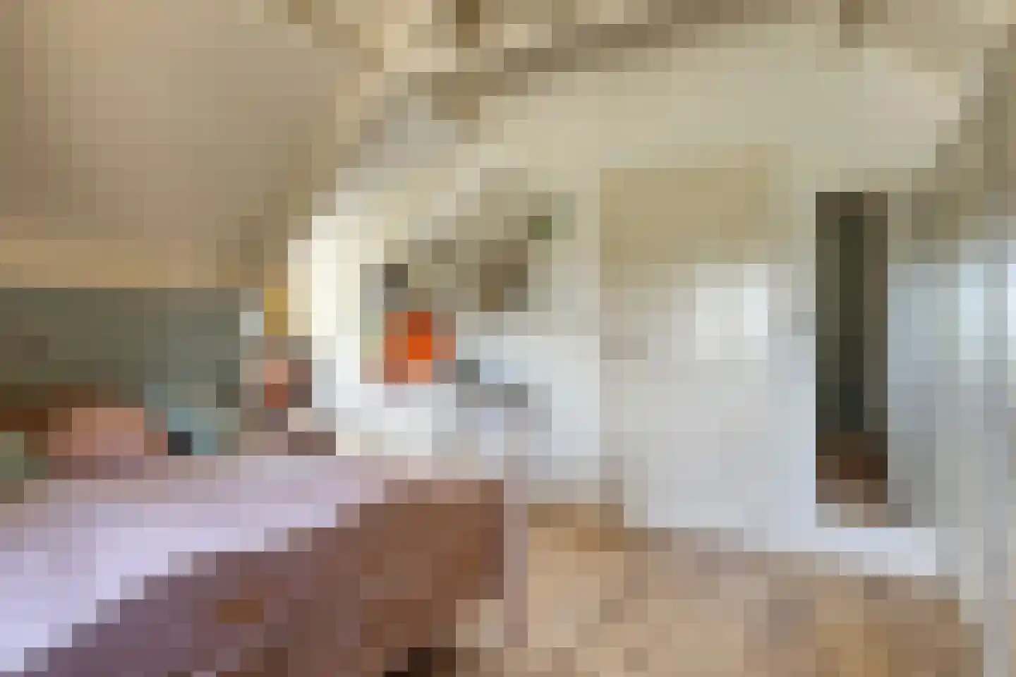 Vreelandsedijk 23 Kwadendamme thumbnail 46