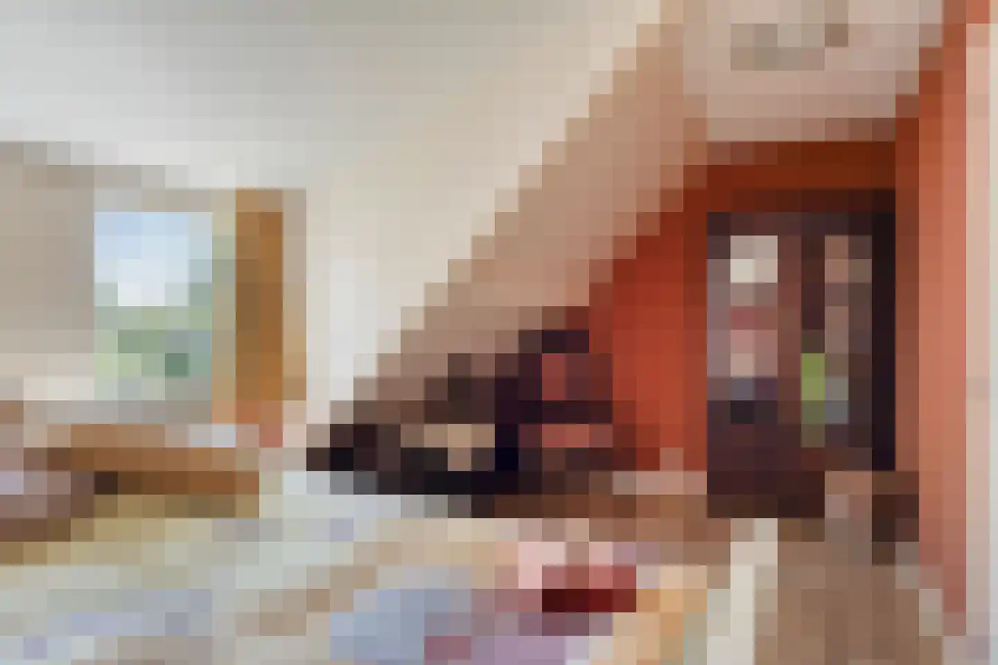 Vreelandsedijk 23 Kwadendamme thumbnail 47