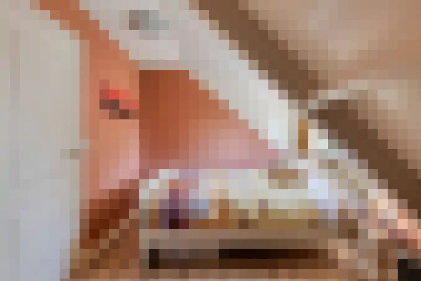 Vreelandsedijk 23 Kwadendamme thumbnail 48