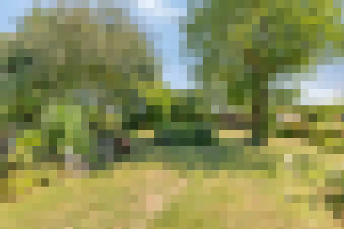 Vreelandsedijk 23 Kwadendamme thumbnail 55