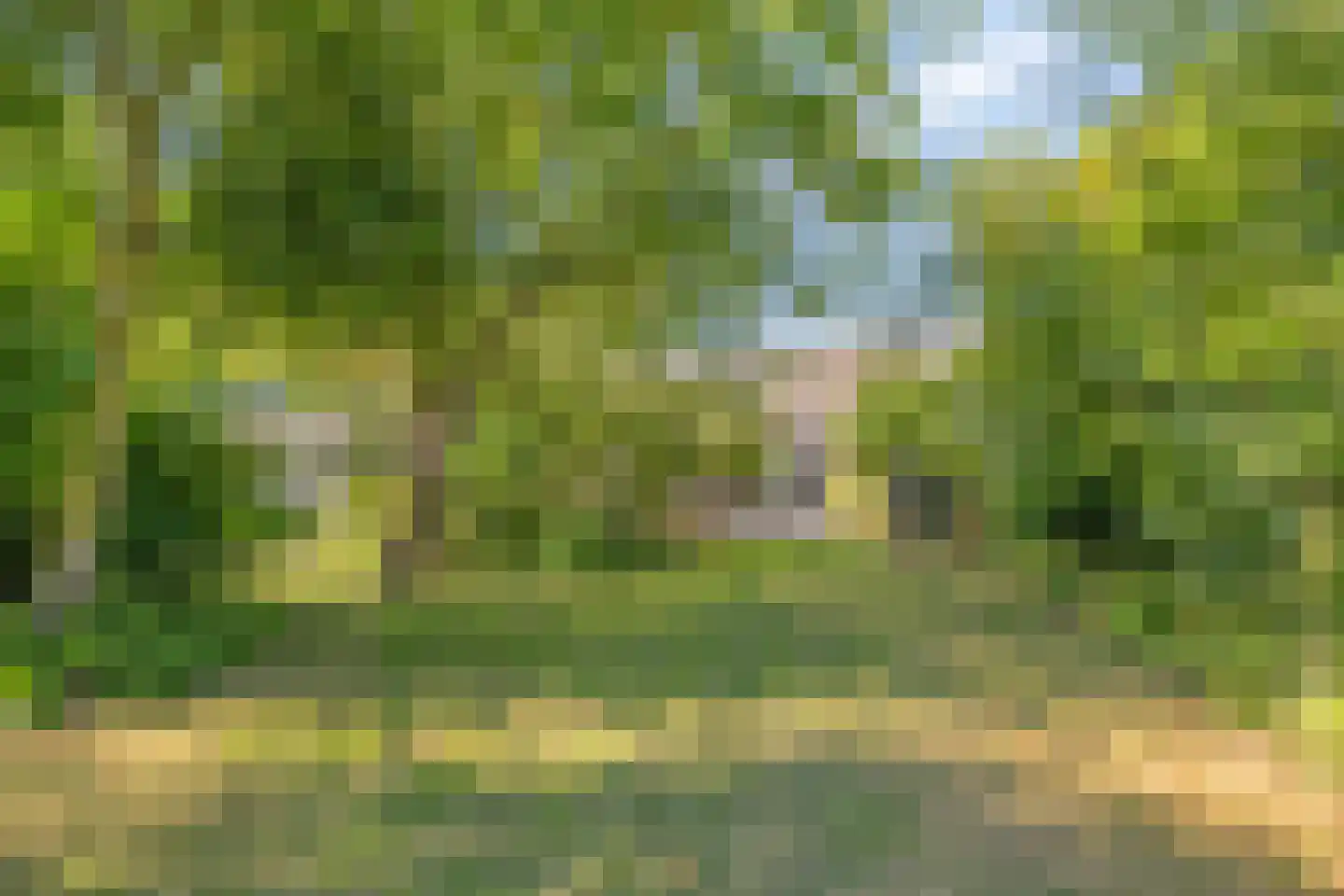 Vreelandsedijk 23 Kwadendamme thumbnail 57