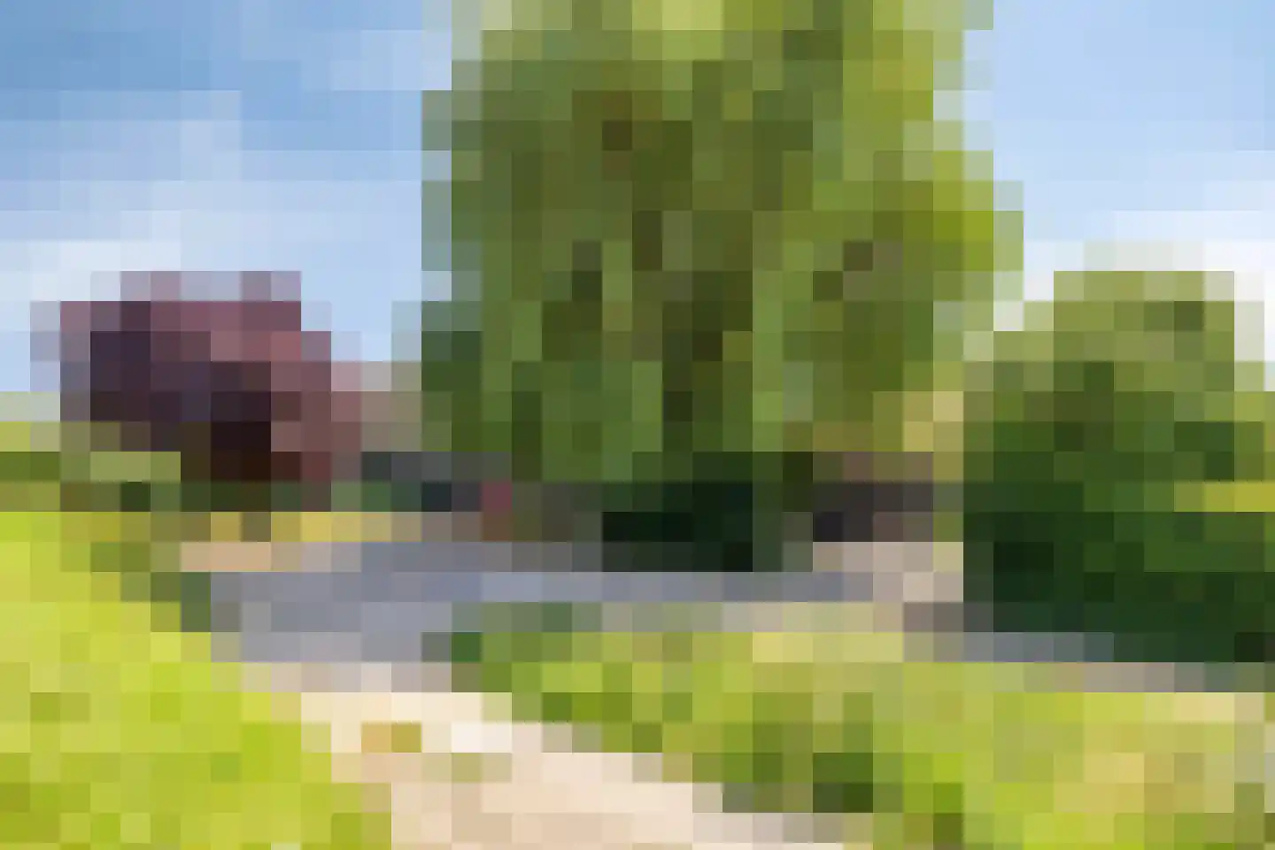 Vreelandsedijk 23 Kwadendamme thumbnail 6