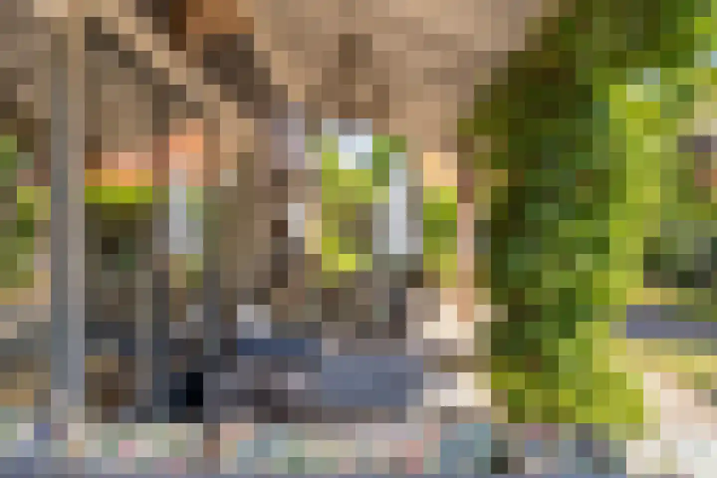 Vreelandsedijk 23 Kwadendamme thumbnail 60