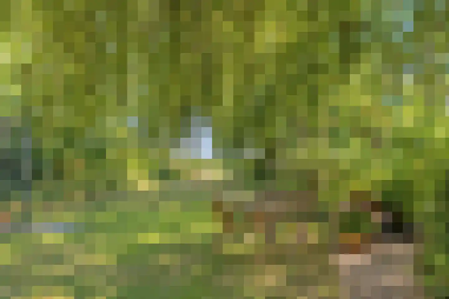 Vreelandsedijk 23 Kwadendamme thumbnail 61
