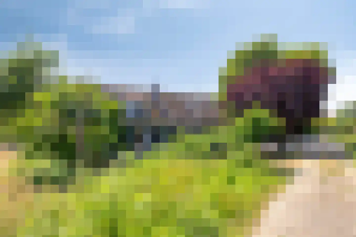 Vreelandsedijk 23 Kwadendamme thumbnail 8