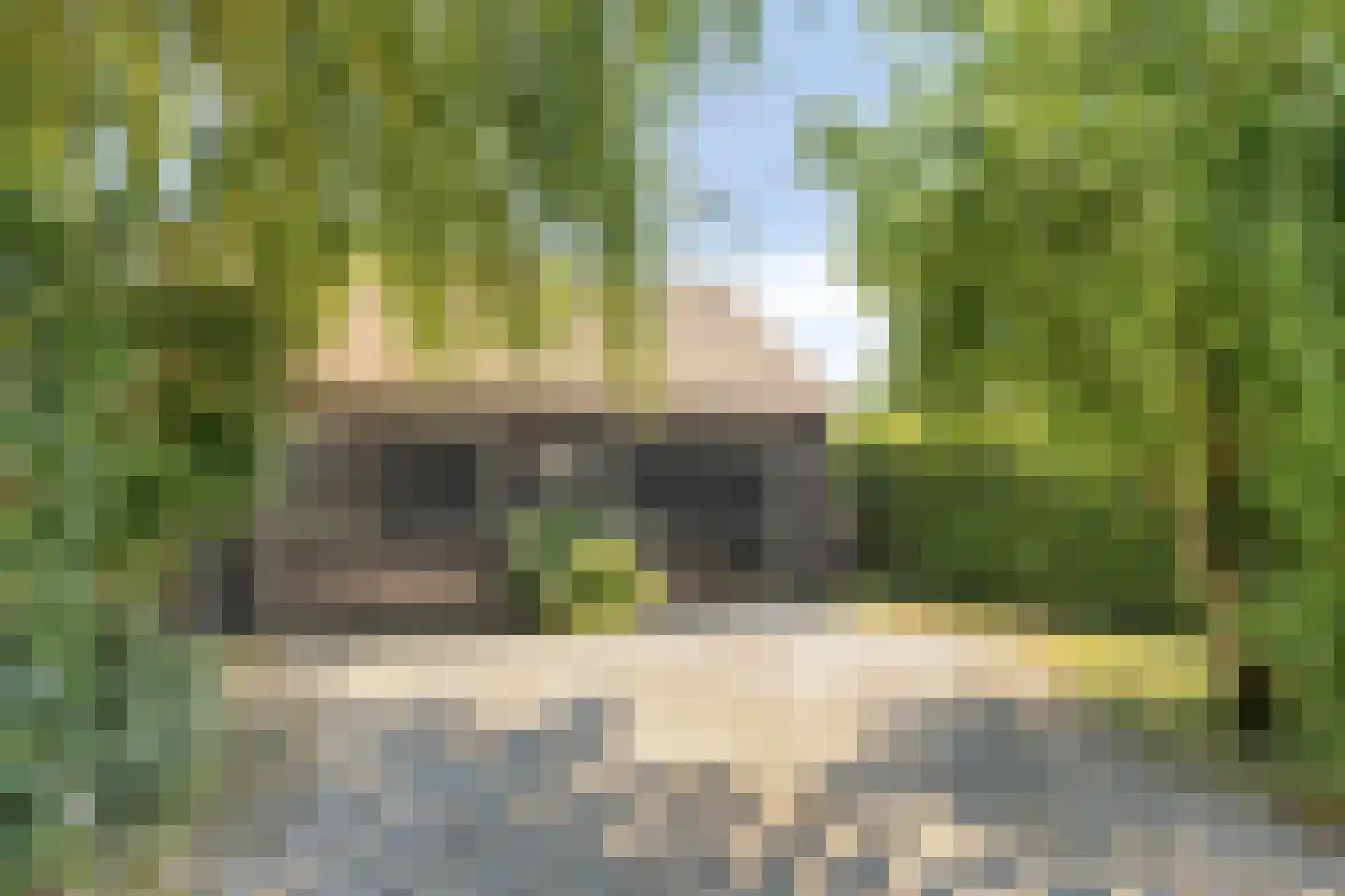 Vreelandsedijk 23 Kwadendamme thumbnail 9