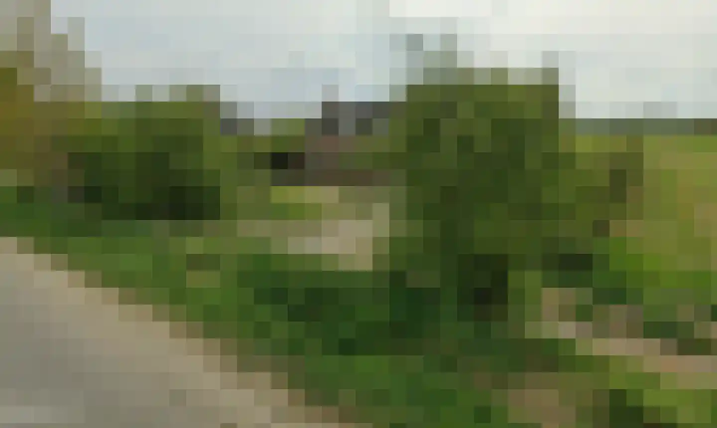 Vreelandsedijk 9 Kwadendamme