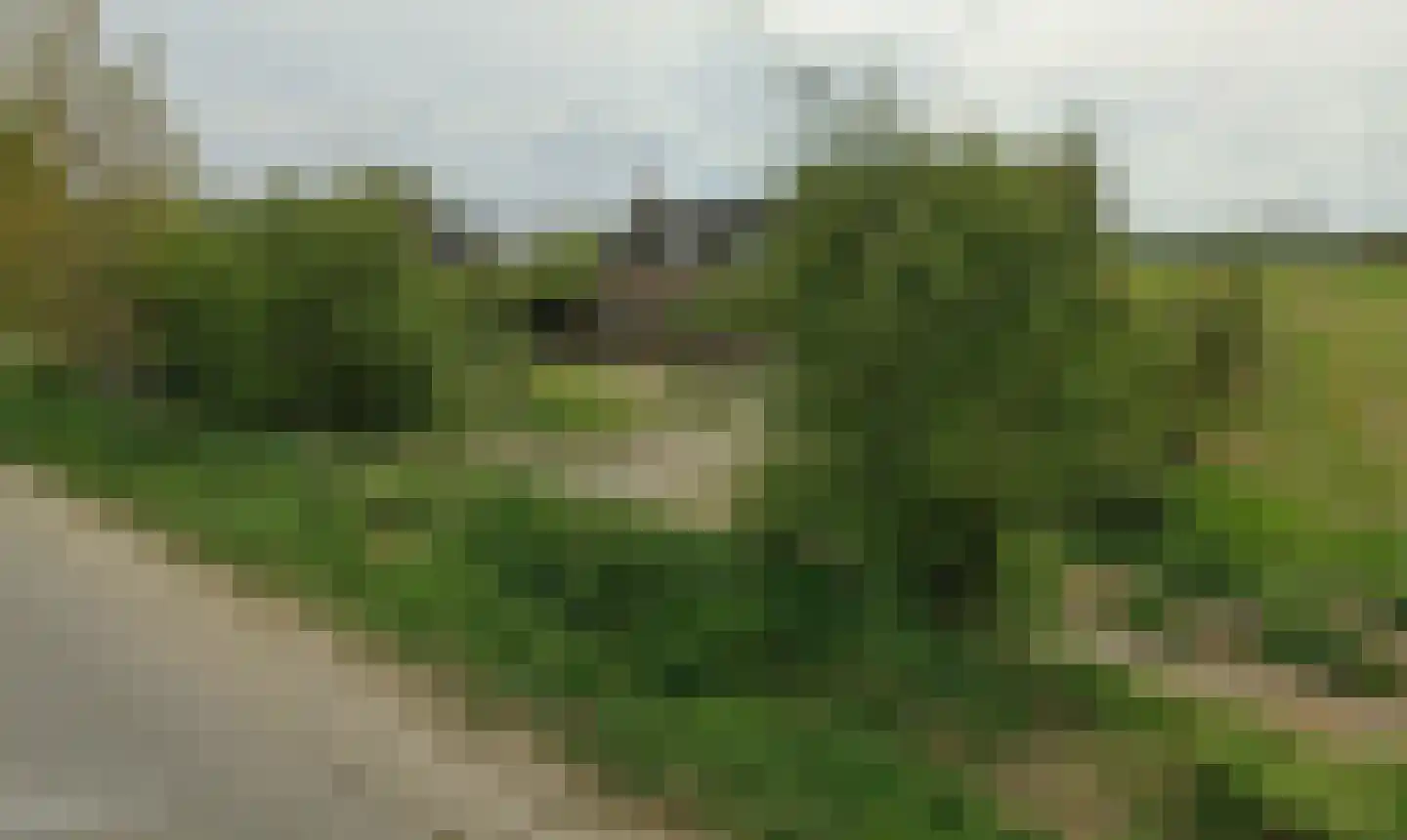 Vreelandsedijk 9 Kwadendamme foto 2