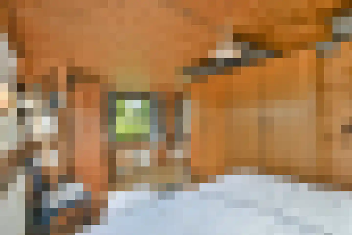 Vreelandseweg 101 Nigtevecht thumbnail 12