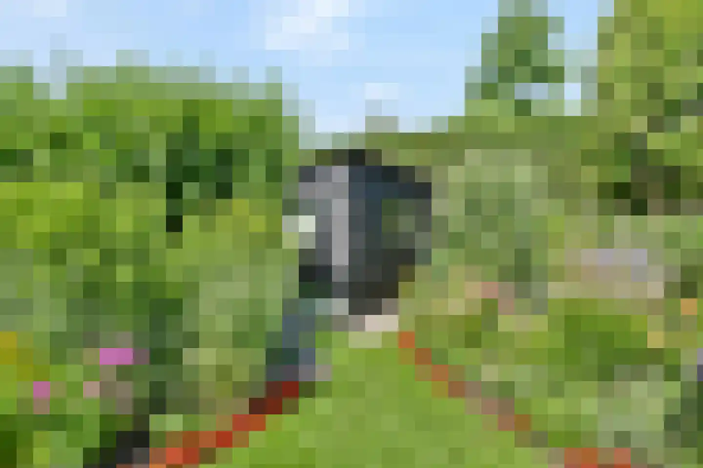 Vreelandseweg 101 Nigtevecht thumbnail 20
