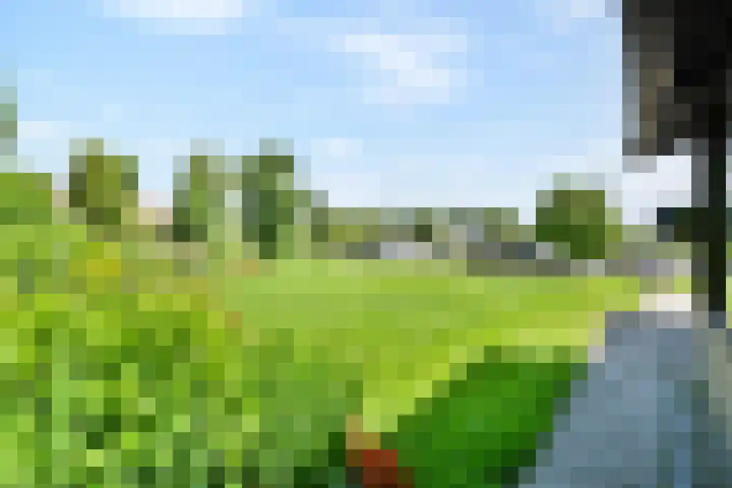 Vreelandseweg 101 Nigtevecht thumbnail 4