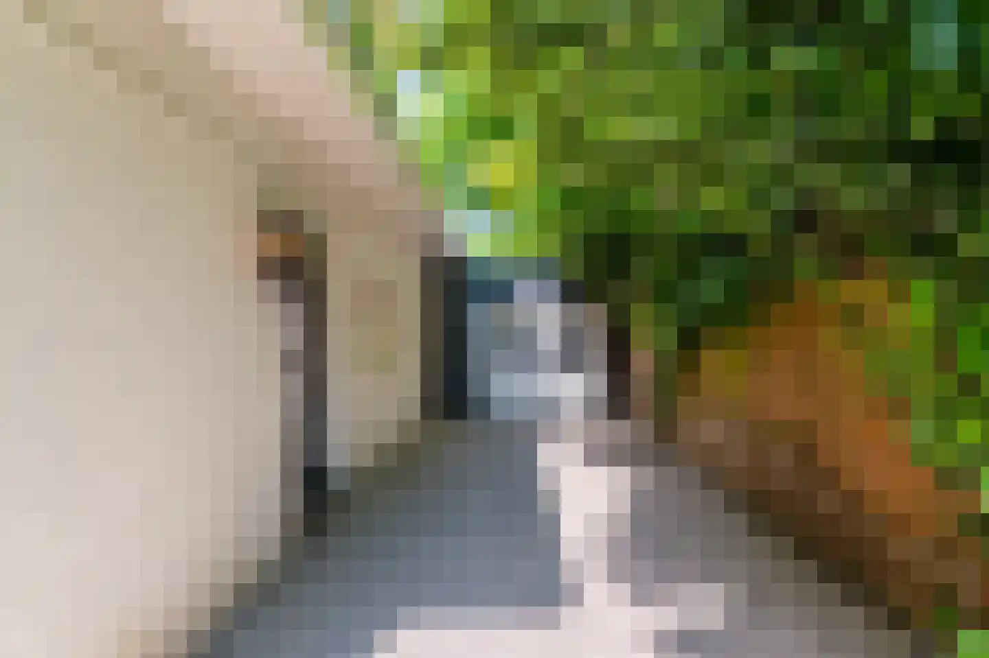 Vreelandseweg 12 Loenen aan de Vecht thumbnail 28