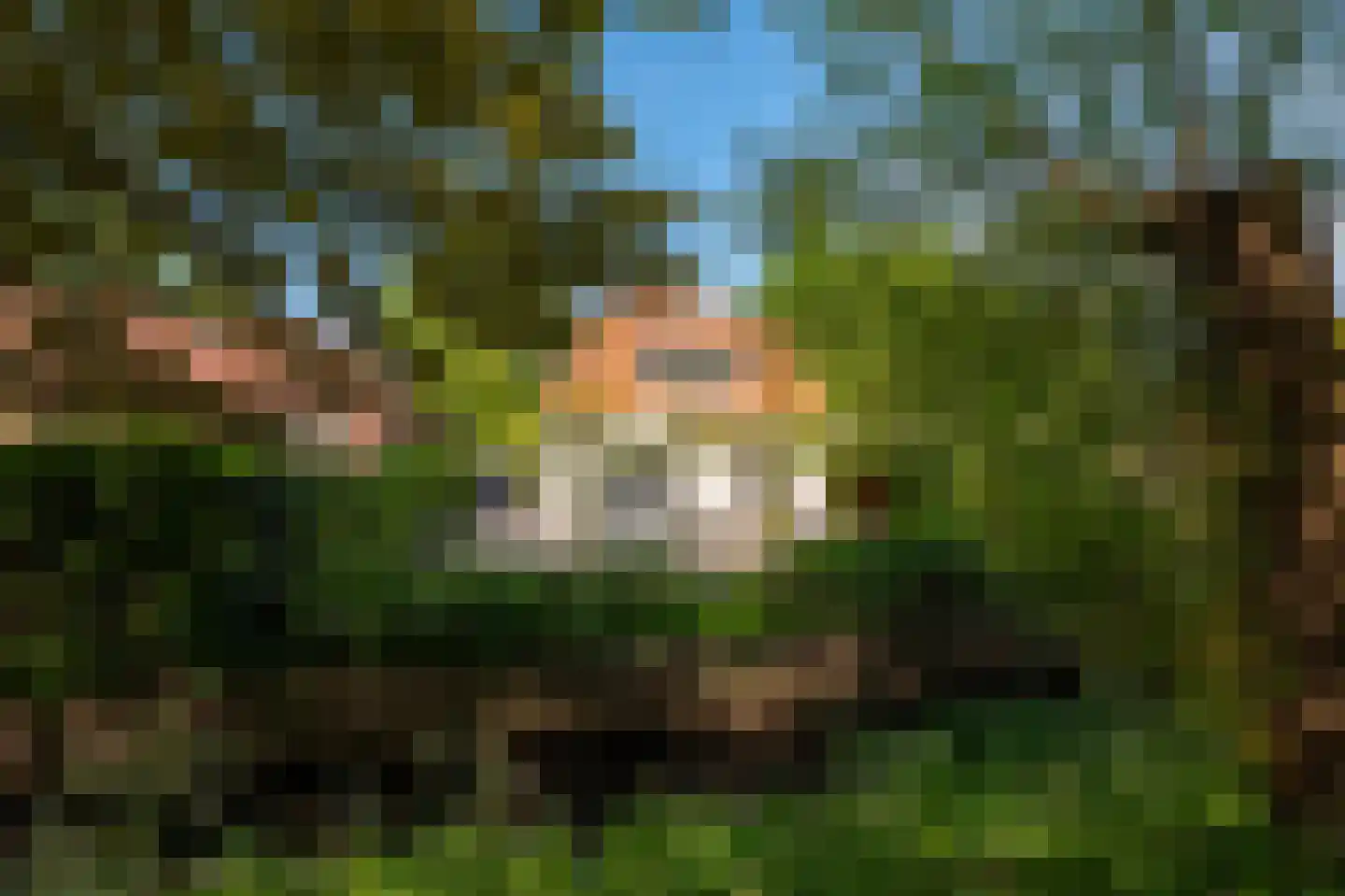 Vreelandseweg 12 Loenen aan de Vecht thumbnail 39