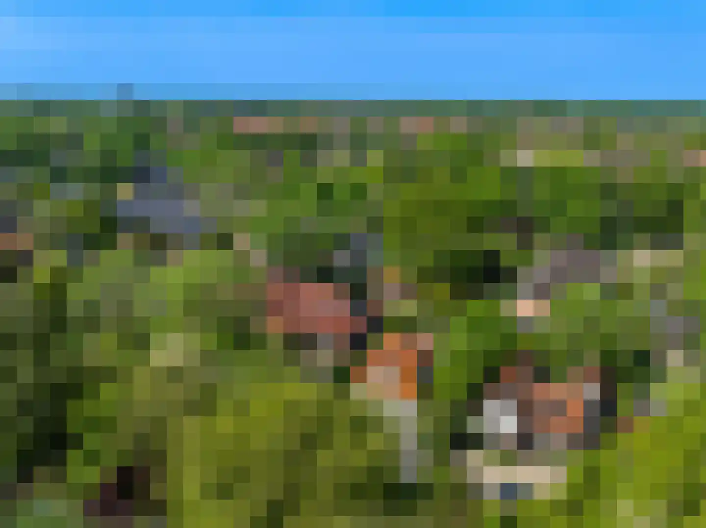 Vreelandseweg 12 Loenen aan de Vecht thumbnail 41