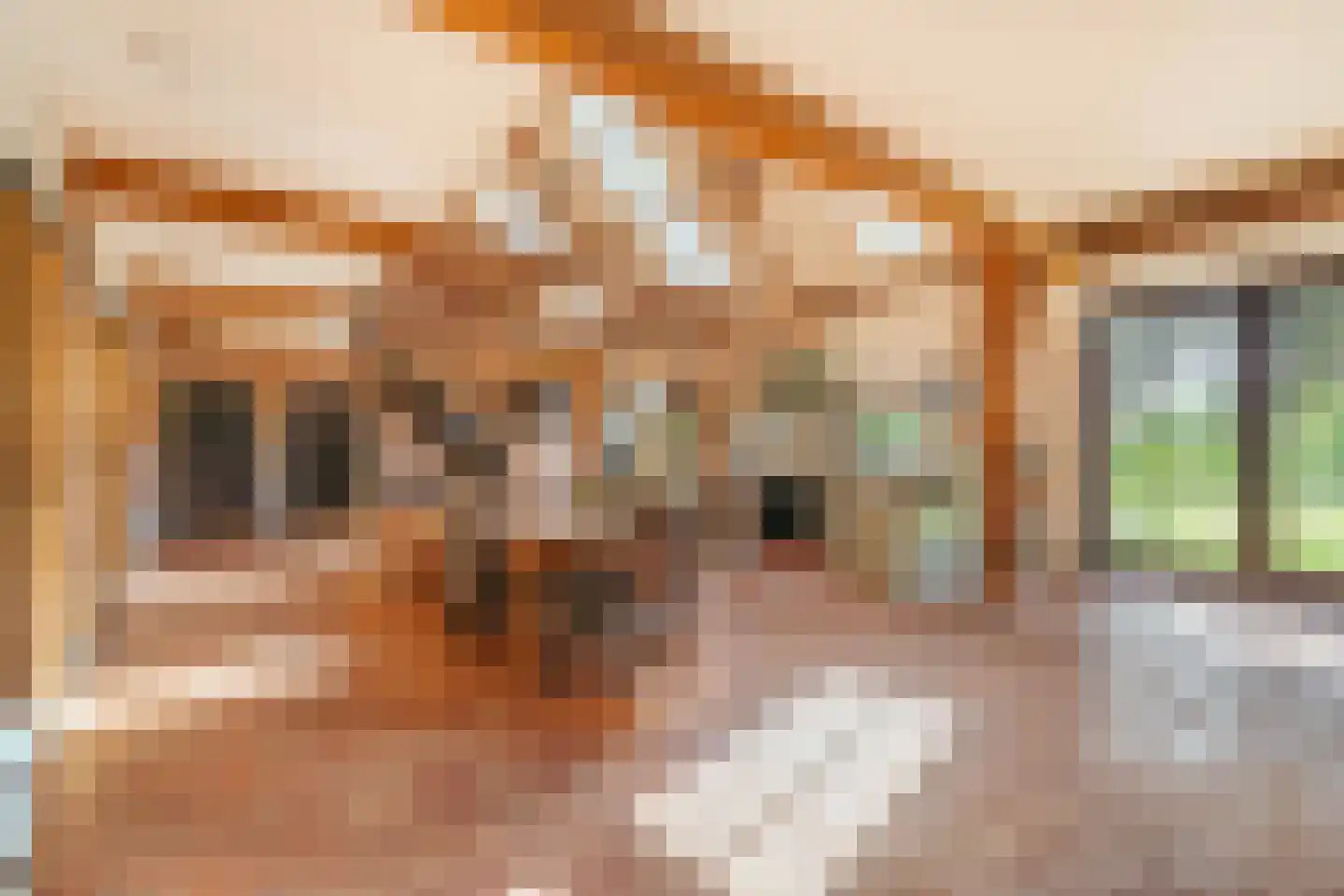 Vreelandseweg 14 Nigtevecht thumbnail 13