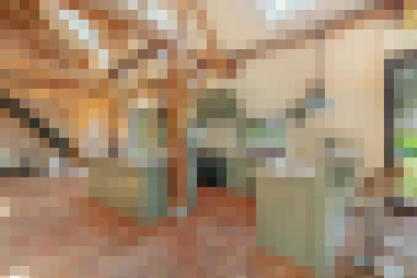 Vreelandseweg 14 Nigtevecht thumbnail 14