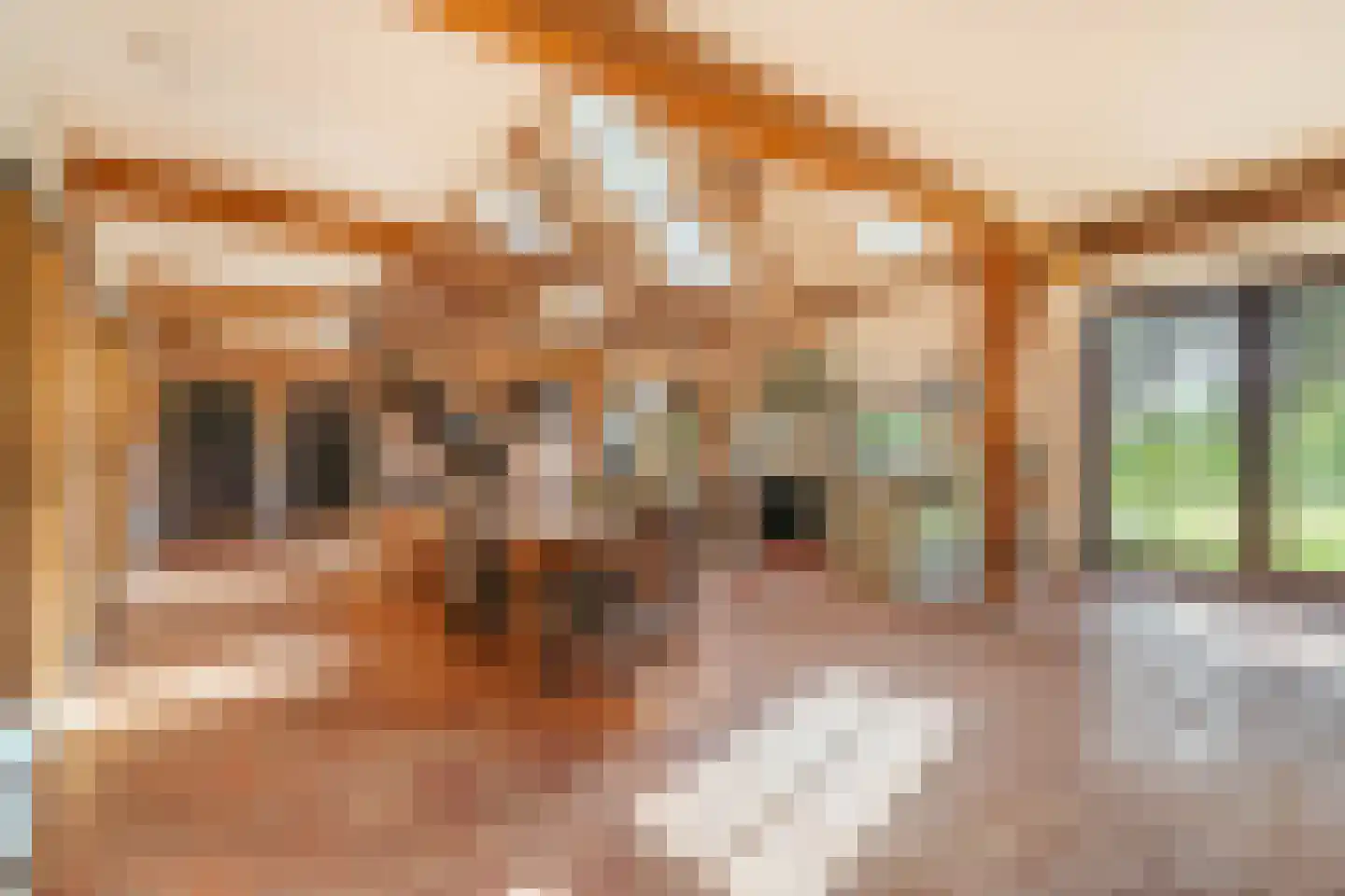 Vreelandseweg 14 Nigtevecht thumbnail 16