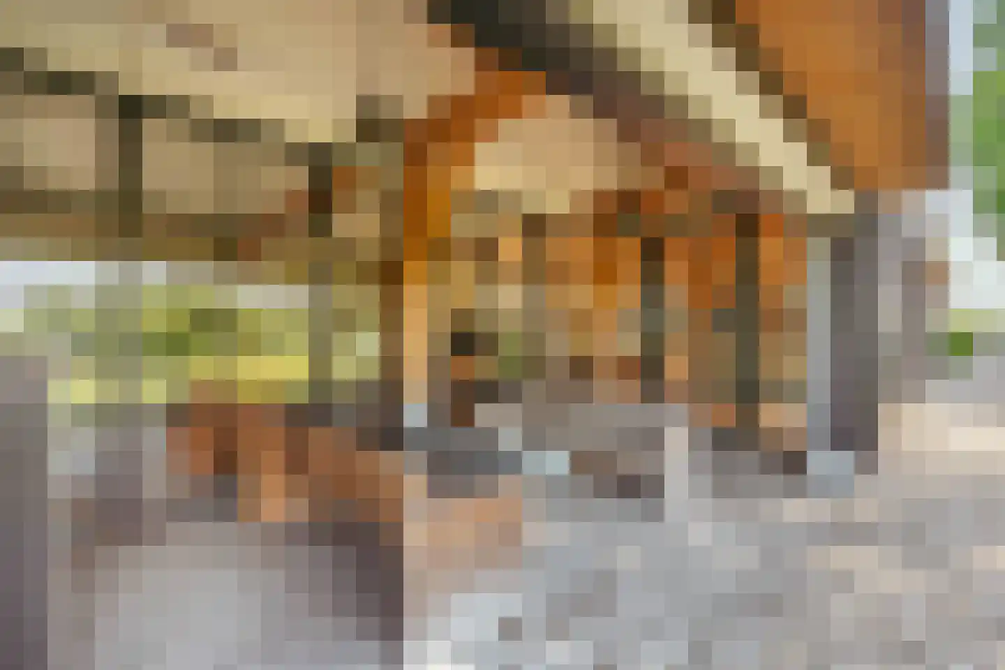 Vreelandseweg 14 Nigtevecht thumbnail 17