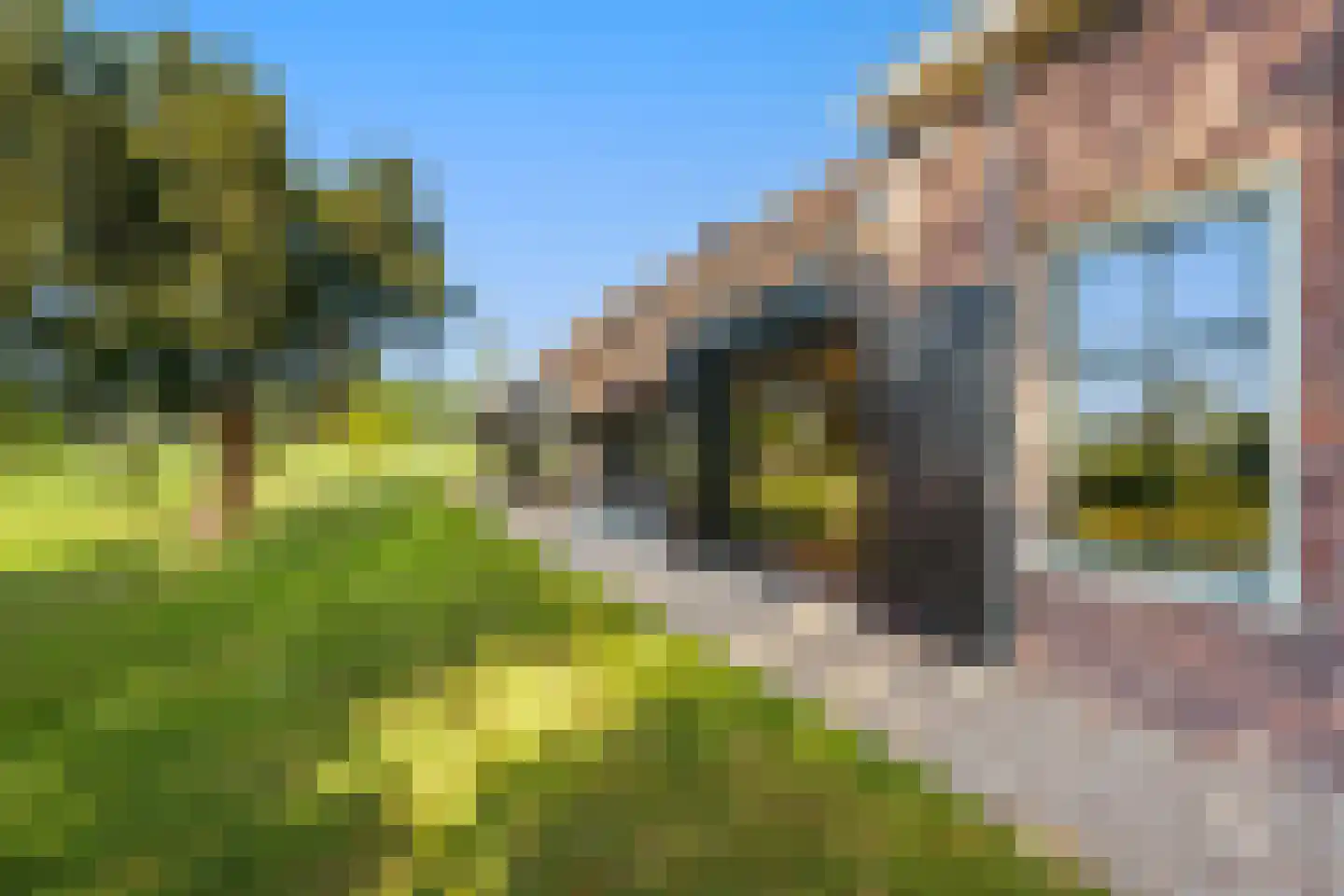 Vreelandseweg 14 Nigtevecht thumbnail 20